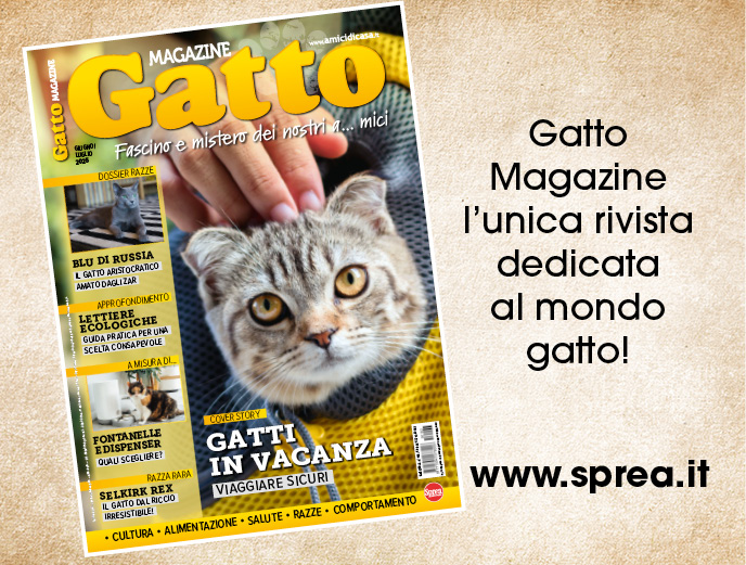 Gatto Magazine